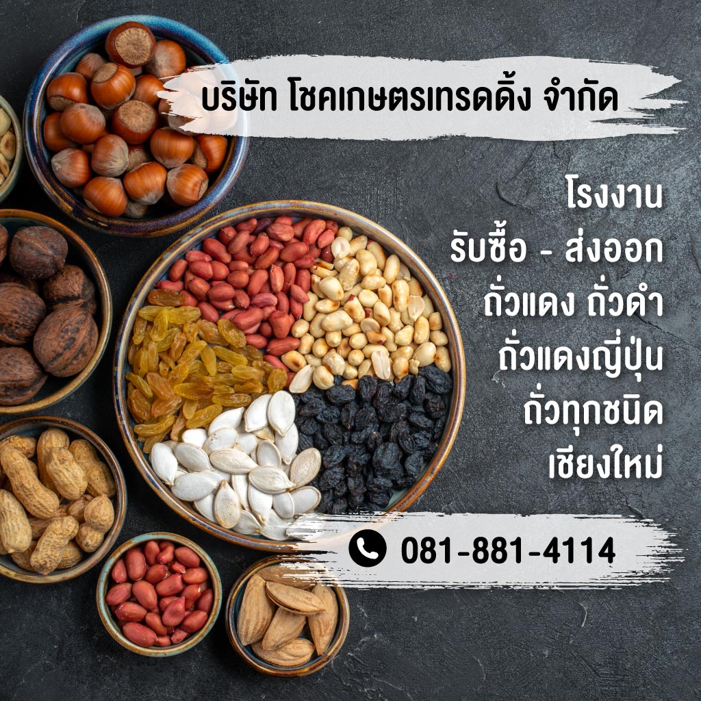 โชคเกษตรเทรดดิ้ง โรงงานส่งออกถั่วแดงเชียงใหม่